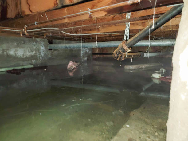 Best Local water damage restoration  in Salem, NC