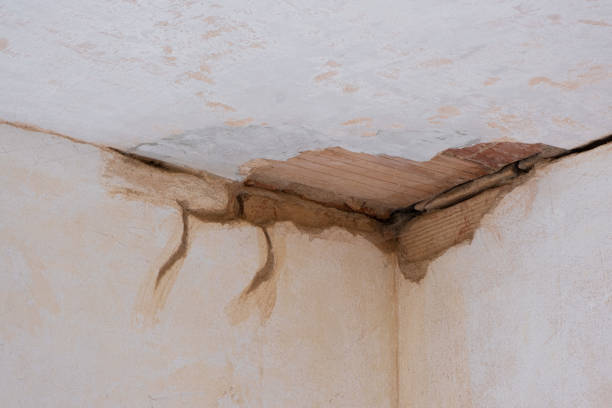 Best 24-hour water damage restoration  in Salem, NC